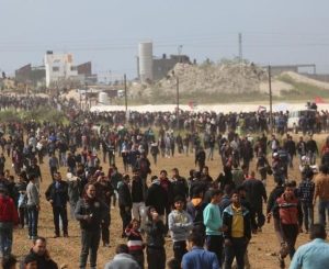 حماية : عجز المجتمع الدولي شجع إسرائيل على استخدام القوة المفرطة بحق المتظاهرين
